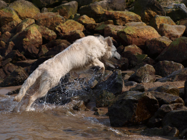 Fotos/2010vervolgJnest/Jade/maart/P3222105[1].JPG